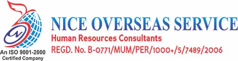 Nice Overseas Services